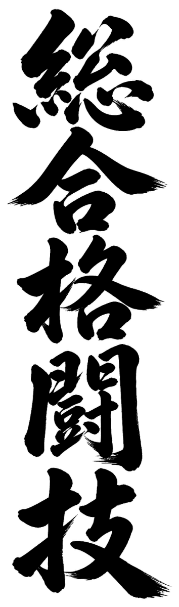 総合格闘技