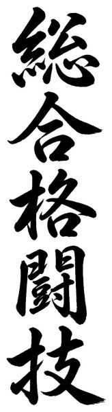 総合格闘技