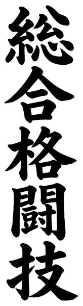 総合格闘技