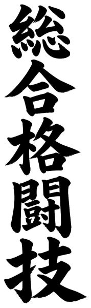 総合格闘技