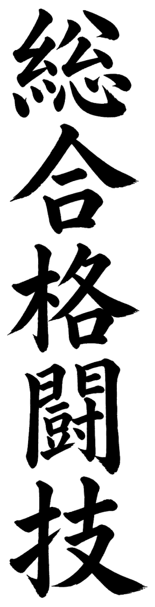 総合格闘技