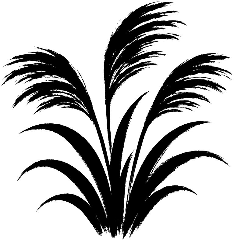 すすき