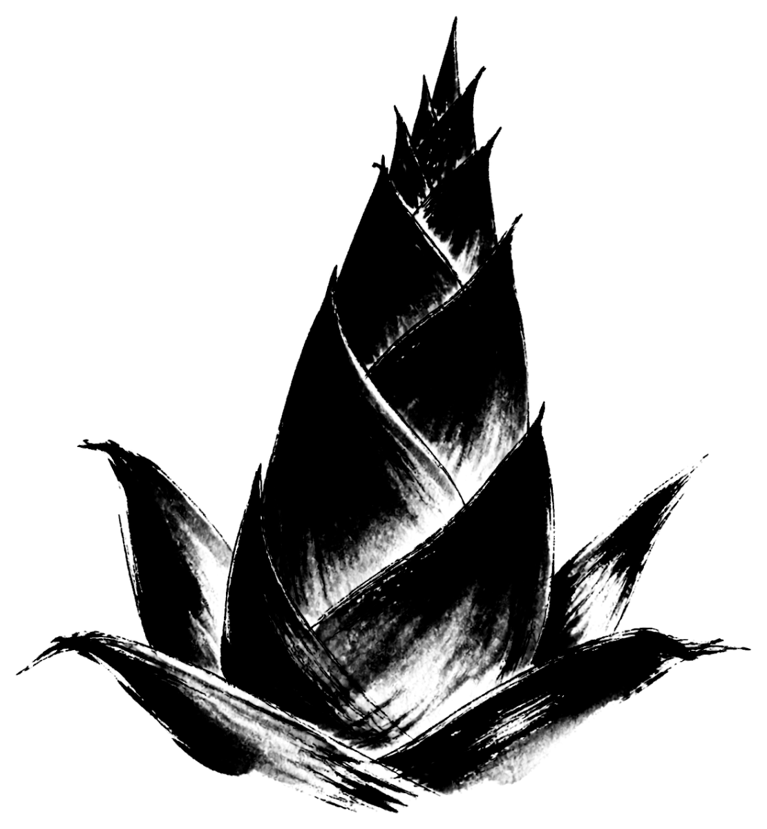 筍の絵