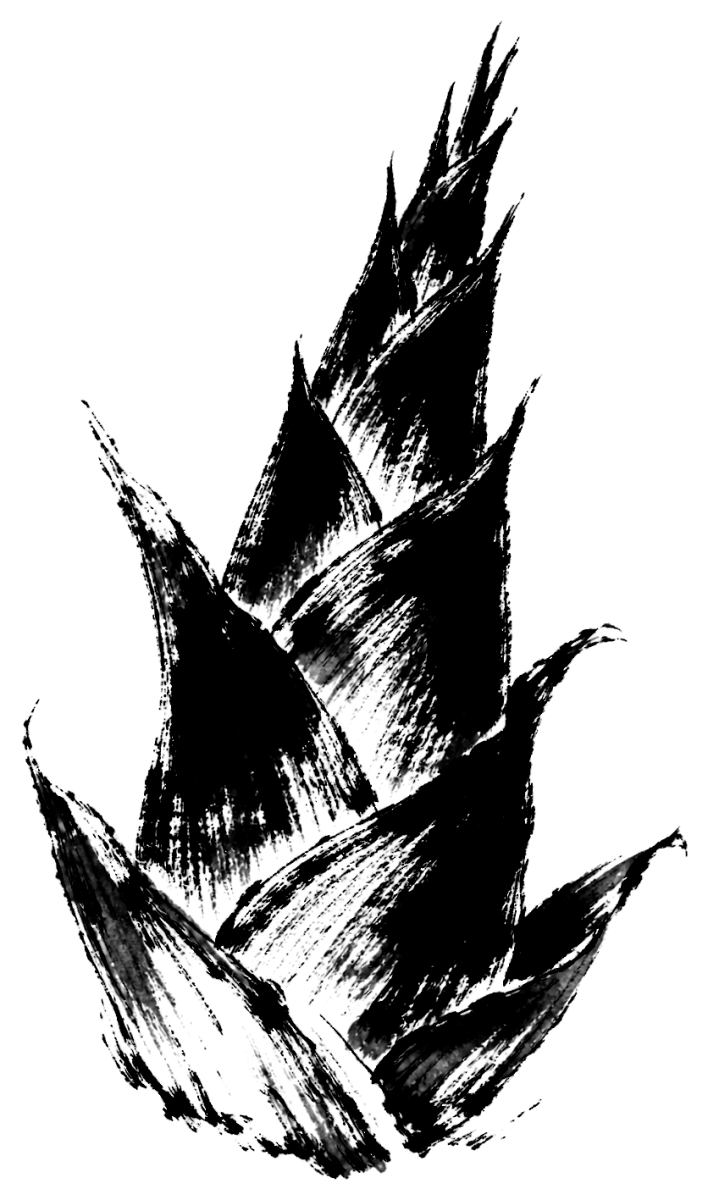 筍の絵
