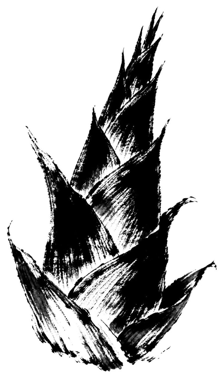筍の絵