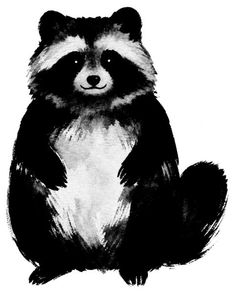 狸