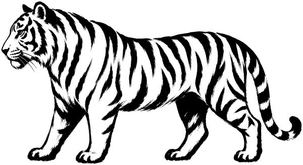 虎の絵