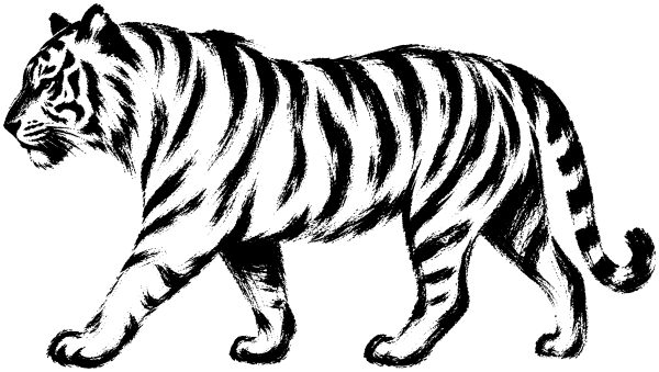 虎の絵
