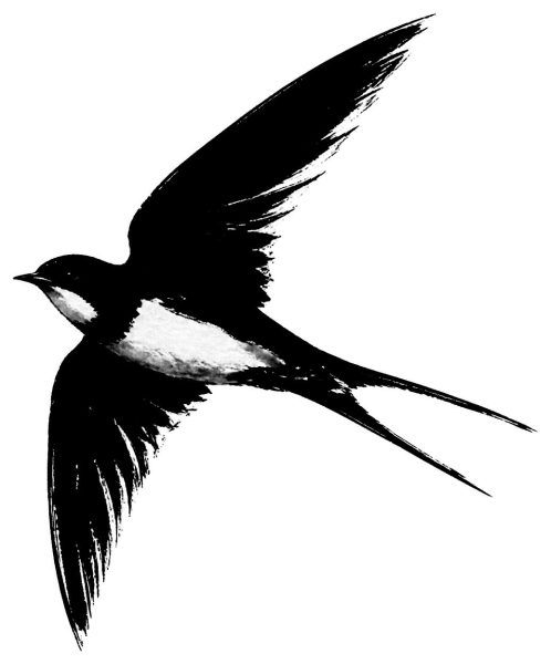 燕