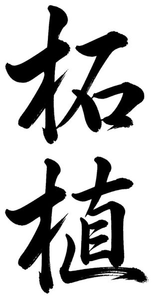 柘植