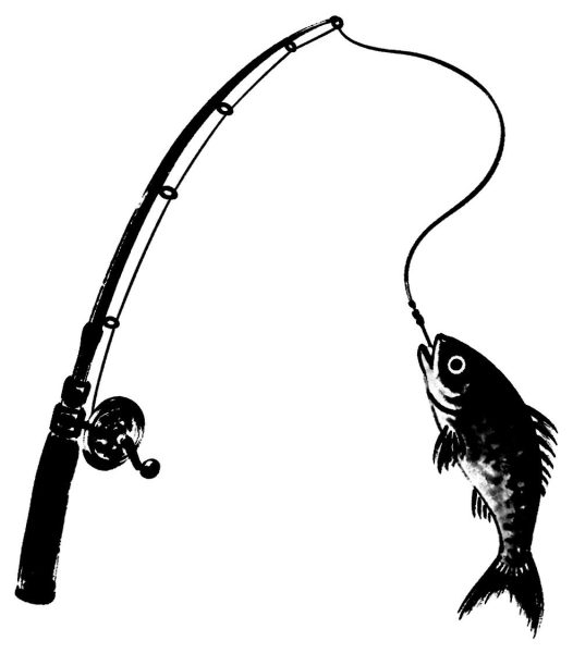 釣り竿と魚