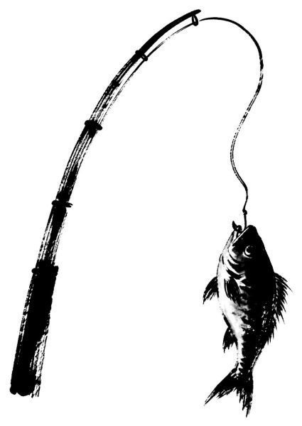 釣り竿と魚