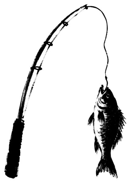 釣り竿と魚