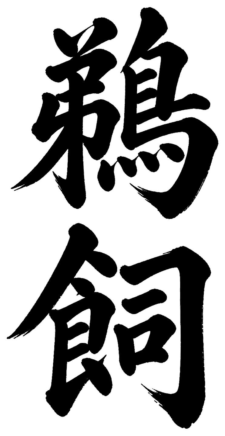 鵜飼