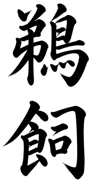鵜飼