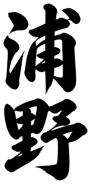浦野
