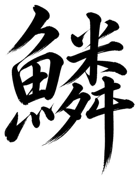 鱗