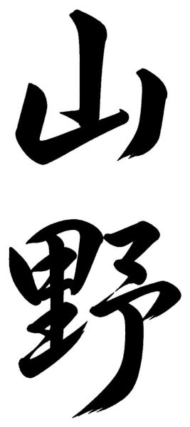 山野