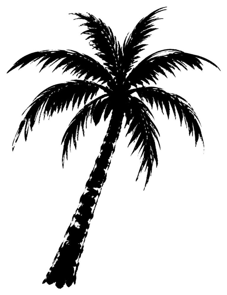 ヤシの木